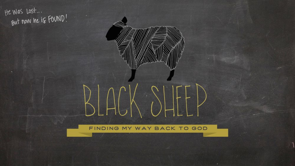 Black Sheep