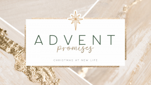 Advent Promises