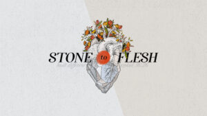 Stone to Flesh